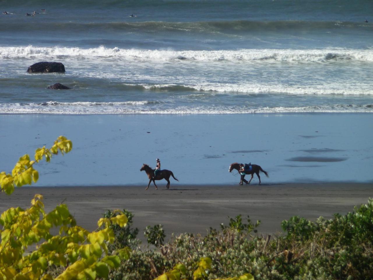 49 On Jans Beach Break Oakura Exterior photo
